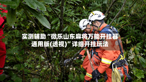 实测辅助“微乐山东麻将万能开挂器通用版(透视)	”详细开挂玩法-第1张图片