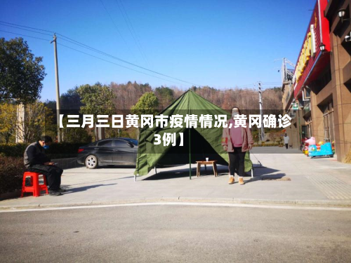 【三月三日黄冈市疫情情况,黄冈确诊3例】-第3张图片