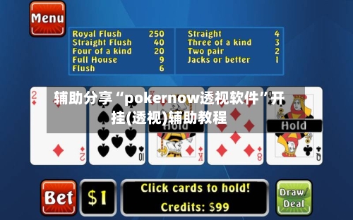 辅助分享“pokernow透视软件	”开挂(透视)辅助教程-第2张图片