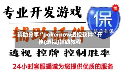 辅助分享“pokernow透视软件”开挂(透视)辅助教程-第1张图片
