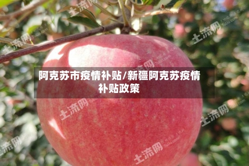 阿克苏市疫情补贴/新疆阿克苏疫情补贴政策-第2张图片