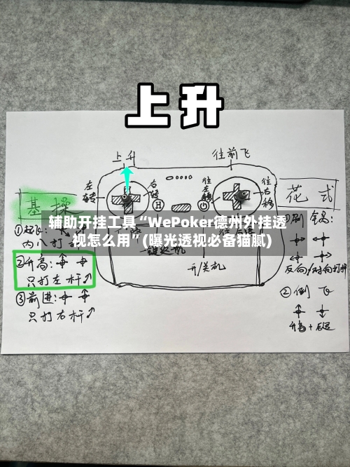 辅助开挂工具“WePoker德州外挂透视怎么用”(曝光透视必备猫腻)-第2张图片