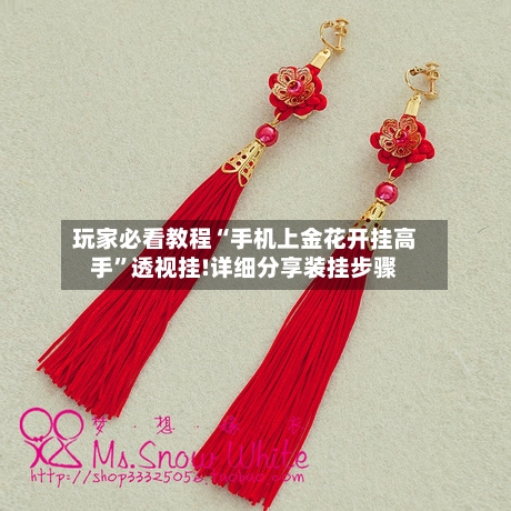 玩家必看教程“手机上金花开挂高手”透视挂!详细分享装挂步骤-第1张图片