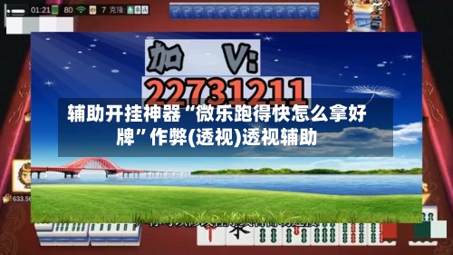 辅助开挂神器“微乐跑得快怎么拿好牌”作弊(透视)透视辅助-第1张图片