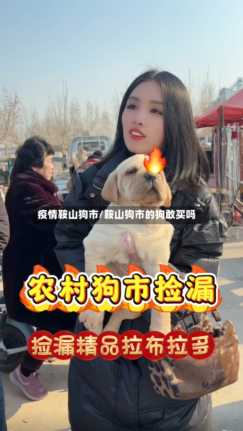 疫情鞍山狗市/鞍山狗市的狗敢买吗-第2张图片