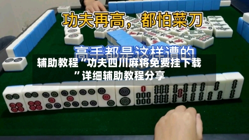 辅助教程“功夫四川麻将免费挂下载”详细辅助教程分享-第3张图片