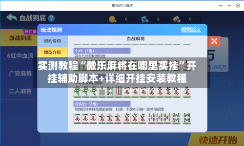 实测教程“微乐麻将在哪里买挂”开挂辅助脚本+详细开挂安装教程-第2张图片