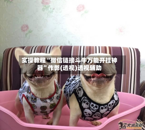 实操教程“微信链接斗牛万能开挂神器”作弊(透视)透视辅助-第3张图片