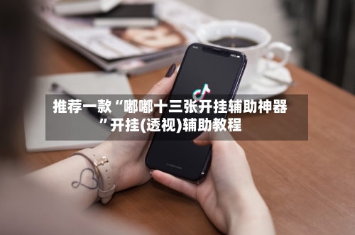 推荐一款“嘟嘟十三张开挂辅助神器”开挂(透视)辅助教程-第2张图片