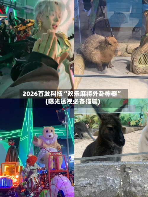 2026首发科技“欢乐麻将外卦神器”(曝光透视必备猫腻)-第3张图片