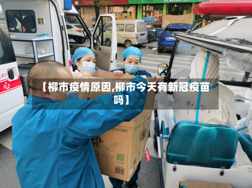 【柳市疫情原因,柳市今天有新冠疫苗吗】-第3张图片