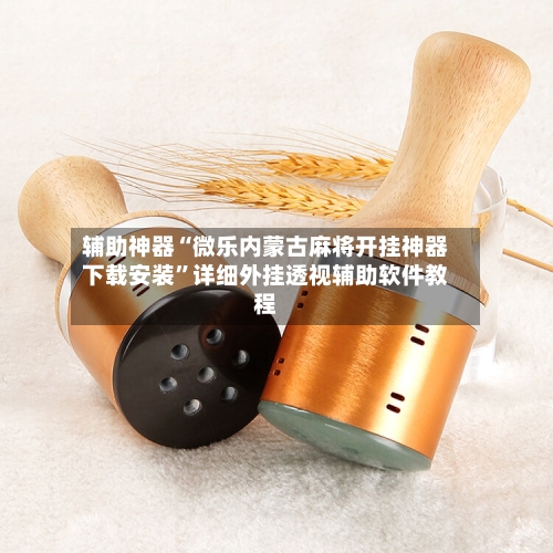 辅助神器“微乐内蒙古麻将开挂神器下载安装	”详细外挂透视辅助软件教程-第1张图片