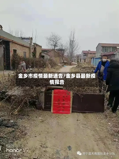 金乡市疫情最新通告/金乡县最新疫情报告-第2张图片