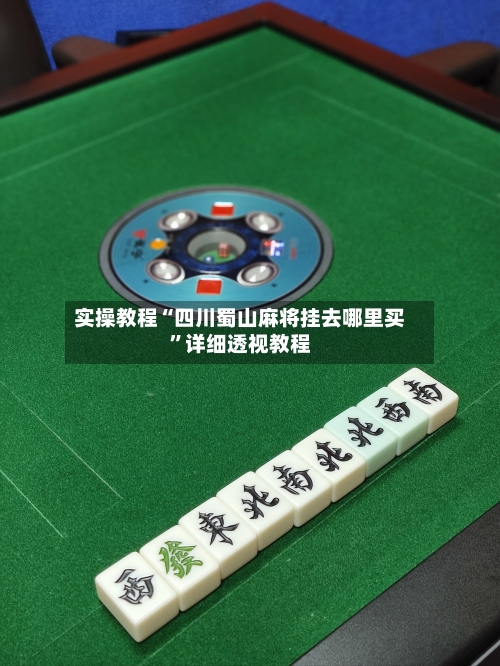 实操教程“四川蜀山麻将挂去哪里买”详细透视教程-第3张图片