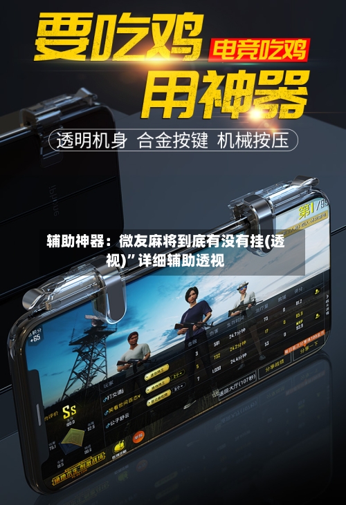 辅助神器：微友麻将到底有没有挂(透视)”详细辅助透视-第2张图片