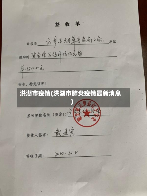 洪湖市疫情(洪湖市肺炎疫情最新消息)-第2张图片