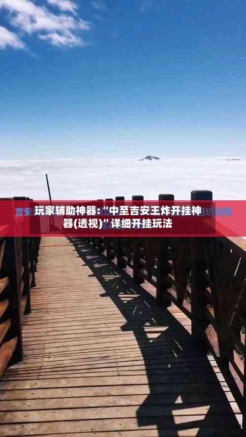 玩家辅助神器:“中至吉安王炸开挂神器(透视)”详细开挂玩法-第1张图片