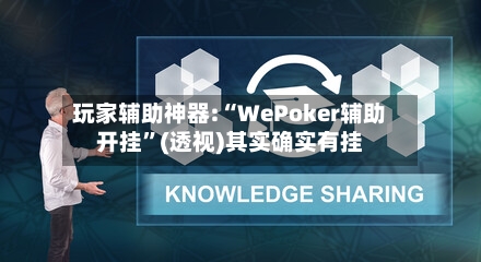 玩家辅助神器:“WePoker辅助开挂	”(透视)其实确实有挂-第1张图片