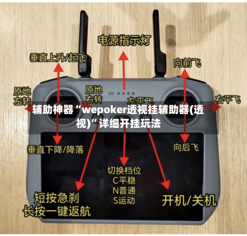 辅助神器“wepoker透视挂辅助器(透视)”详细开挂玩法-第3张图片