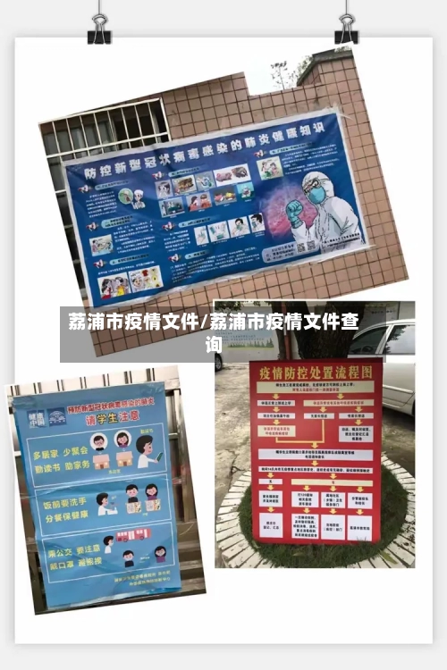 荔浦市疫情文件/荔浦市疫情文件查询-第2张图片