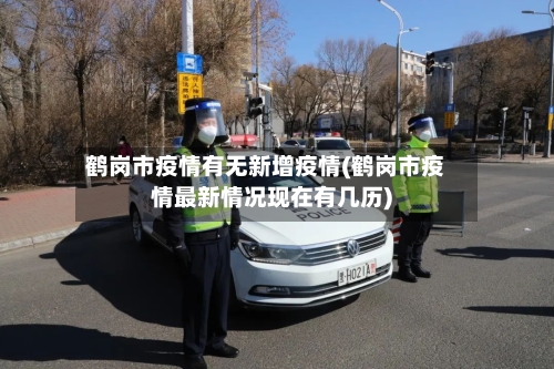 鹤岗市疫情有无新增疫情(鹤岗市疫情最新情况现在有几历)-第2张图片