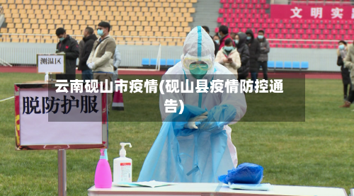 云南砚山市疫情(砚山县疫情防控通告)-第3张图片