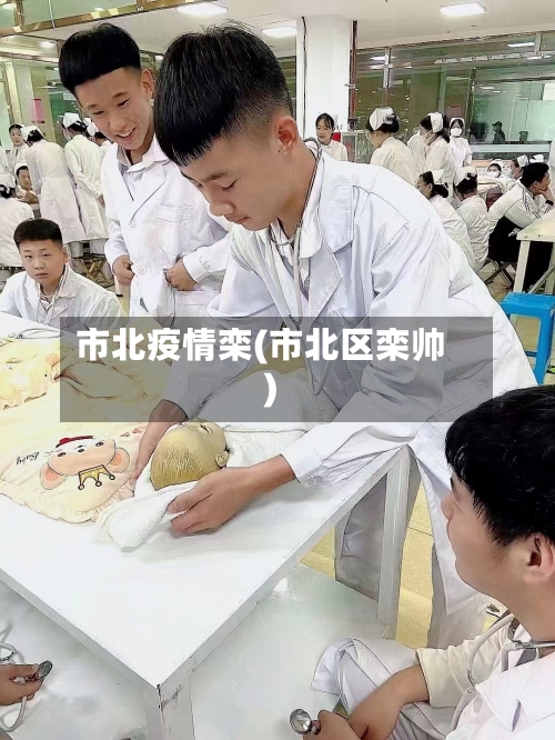 市北疫情栾(市北区栾帅)-第1张图片