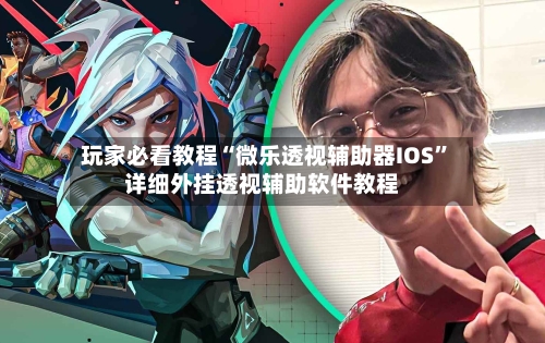 玩家必看教程“微乐透视辅助器IOS	”详细外挂透视辅助软件教程-第2张图片