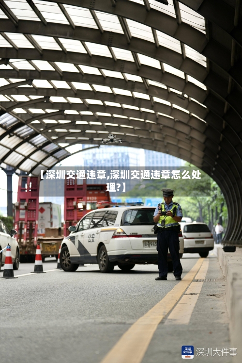 【深圳交通违章,深圳交通违章怎么处理?】-第1张图片