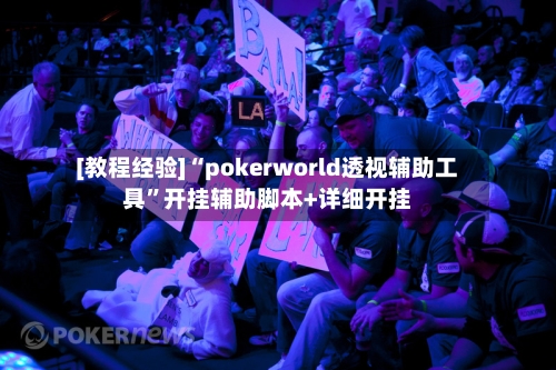[教程经验]“pokerworld透视辅助工具	”开挂辅助脚本+详细开挂-第2张图片