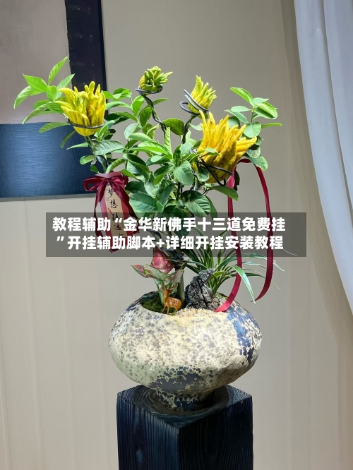 教程辅助“金华新佛手十三道免费挂”开挂辅助脚本+详细开挂安装教程-第1张图片
