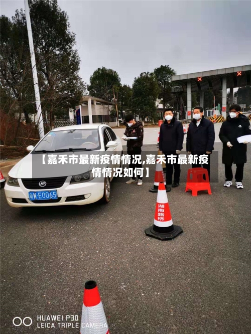 【嘉禾市最新疫情情况,嘉禾市最新疫情情况如何】-第3张图片