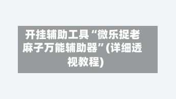 开挂辅助工具“微乐捉老麻子万能辅助器	”(详细透视教程)-第1张图片